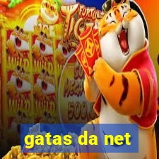 gatas da net